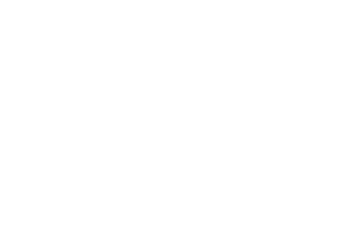 Euro Holdings Logo